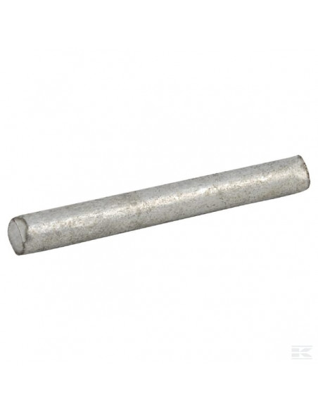 Oś języka poideł miskowych 202109FA