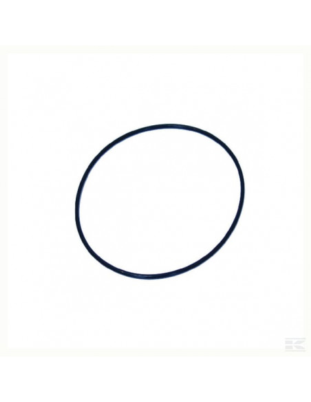 Pierścień o-ring NWS00302