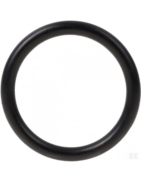 Pierścień uszczelniający 974361