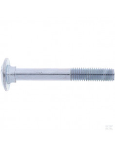 Śruba zamkowa DIN603 M10x75 mm ocynk kl. 8.8 Kramp 603107588