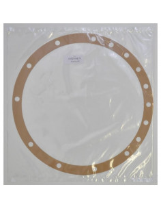 Uszczelka 183254M1GP