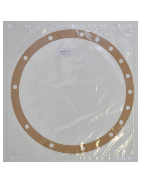 Uszczelka 183254M1GP