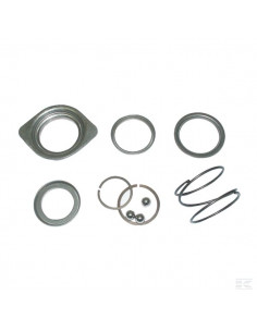 Zestaw naprawczy sprzęgla, Walterscheid, 1 3/8 Z6, 1 3/8...