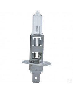 Żarówka 12V 55W H1 B1208