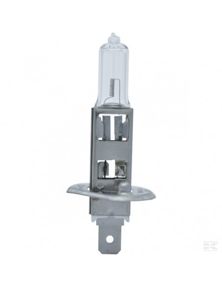 Żarówka 12V 55W H1 B1208