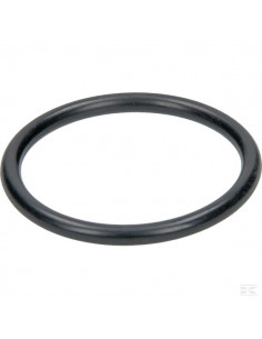 Pierścień uszczelniający 974373