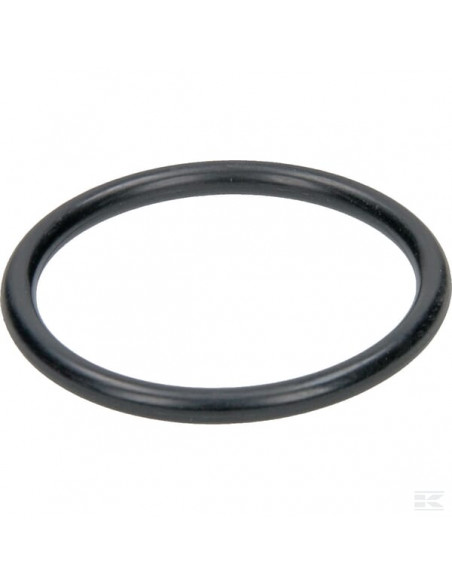 Pierścień uszczelniający 974373