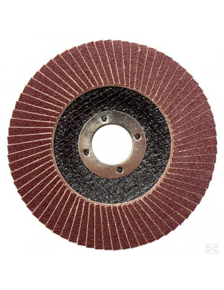 Tarcza szlifierska wachlarzowa, 115x22 mm K40 1861231104