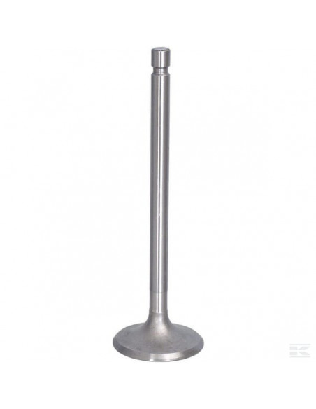 Zawór ssący, pasuje do C-330 26900050008470