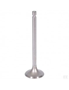 Zawór ssący, pasuje do C-360 26900050505051