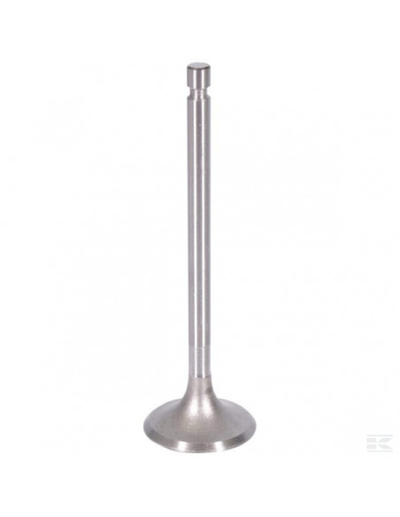 Zawór ssący, pasuje do C-360 26900050505051