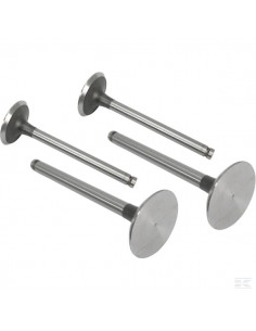 Zawór ssący VPA1100