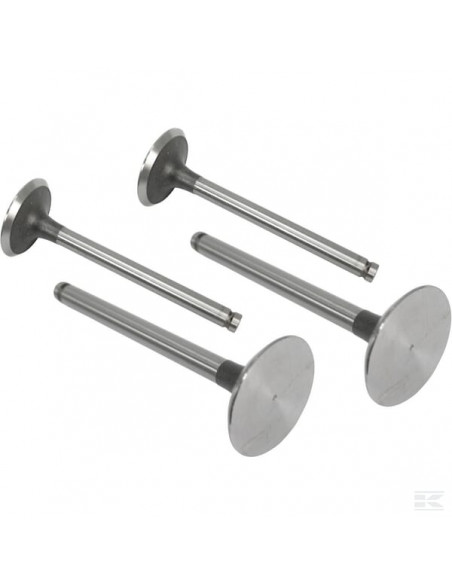 Zawór ssący VPA1100